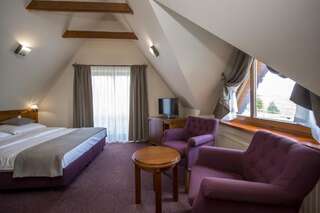 Отель Hotel REDYK Ski&Relax Зомб Двухместный номер «Комфорт» с 1 кроватью-2